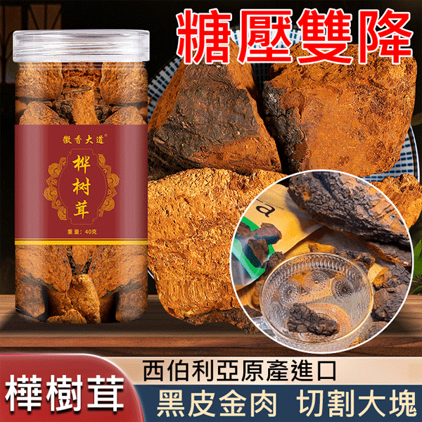 西伯利亞樺樹茸